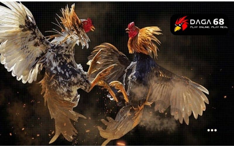 Có nhiều tin đồn về daga68 có lừa đảo không Có nhiều tin đồn về daga68 có lừa đảo không