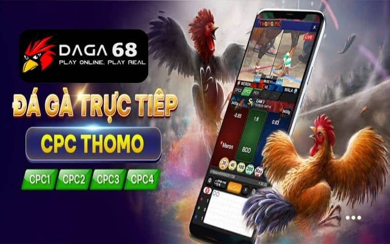 Đá gà SV388 cung cấp đầy đủ loại hình đá gà