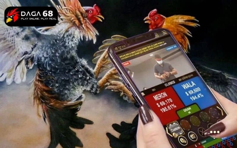 Đá gà SV388 cung cấp hàng trăm trận đấu mỗi ngày