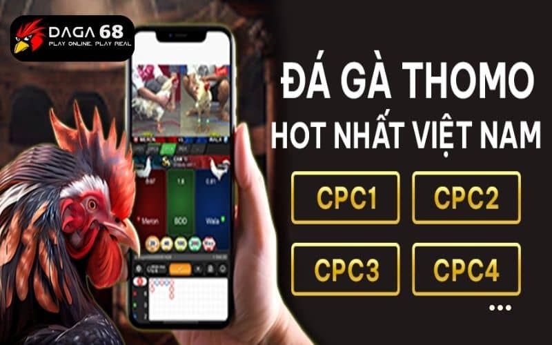 Đá gà SV388 là sảnh chơi nơi người chơi đặt cược vào các trận gà
