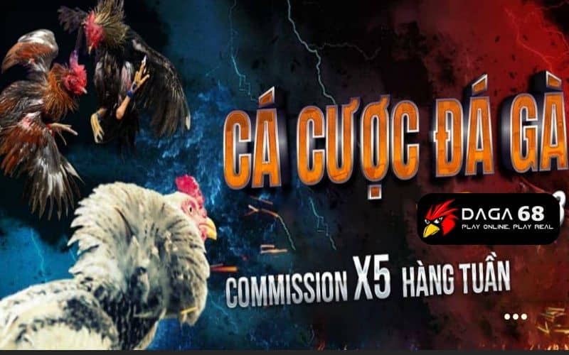 Daga68 - Trang đá gà uy tín số 1 Việt Nam hiện nay Daga68 - Trang đá gà uy tín số 1 Việt Nam hiện nay