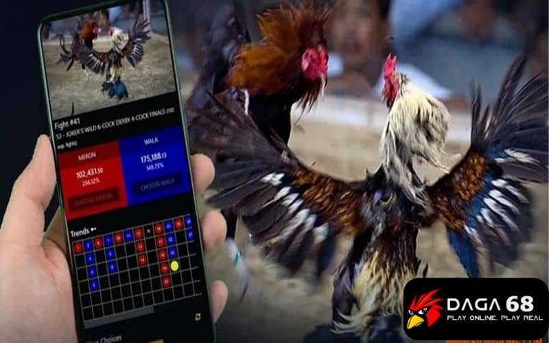 Người chơi có thể vừa xem vừa đặt cược tại đá gà SV388
