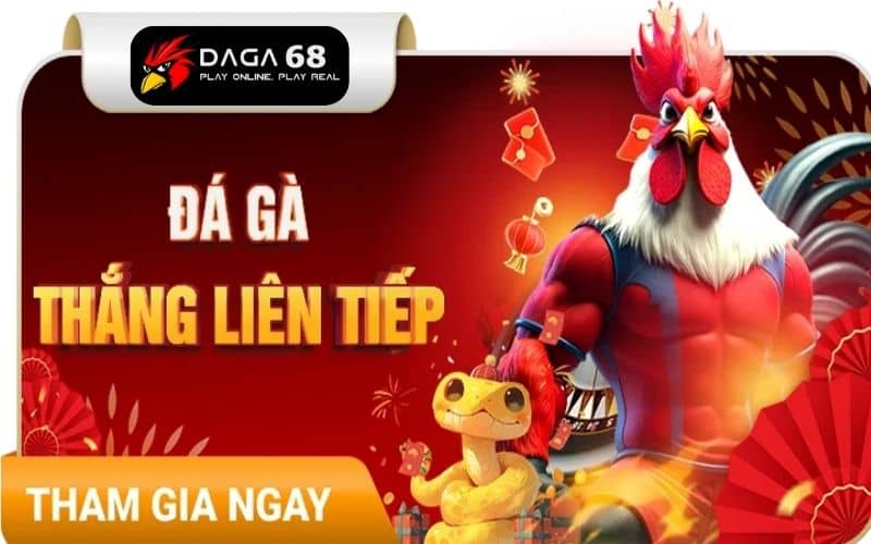 Nhận khuyến mãi đặc biệt khi chơi đá gà Nhận khuyến mãi đặc biệt khi chơi đá gà