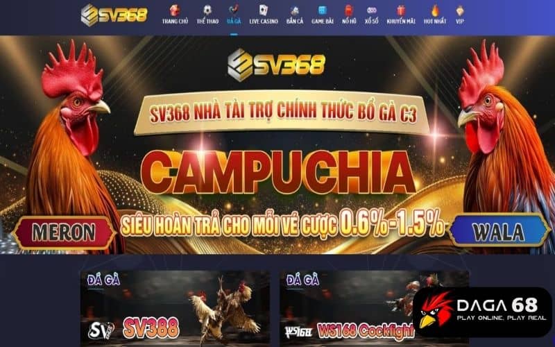 SV368 là trang đá gà uy tín cung cấp nhiều ưu đãi SV368 là trang đá gà uy tín cung cấp nhiều ưu đãi
