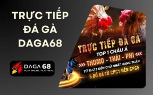 Trực tiếp đá gà DAGA68